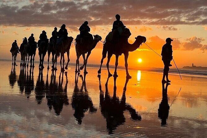 Agadir & Taghazout: Half Day Quad Bike Adventure and Camel Ride - The Itinerary: Two Distinct, Complementary Experiences
