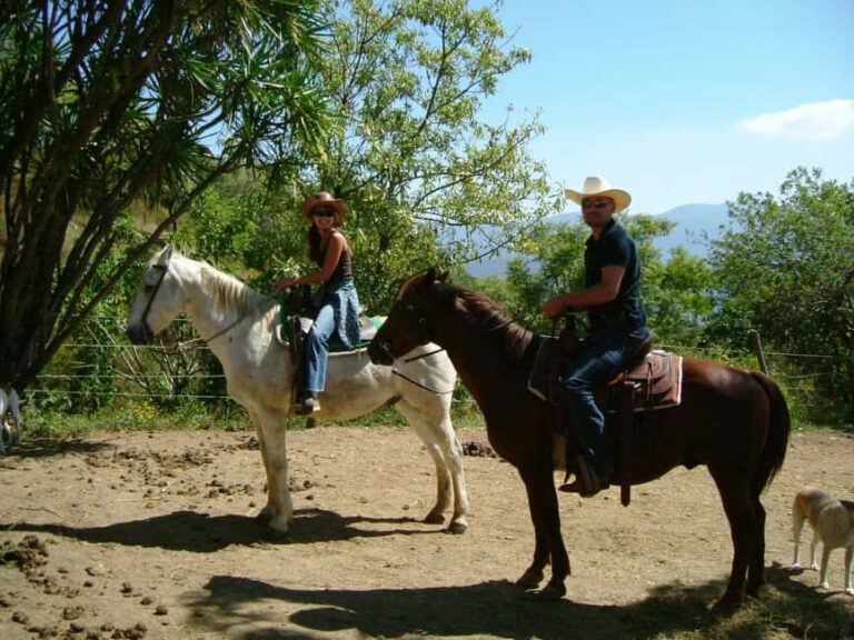 Agadir/Taghazout: Horse Rides Experience With Transfers - The Sum Up