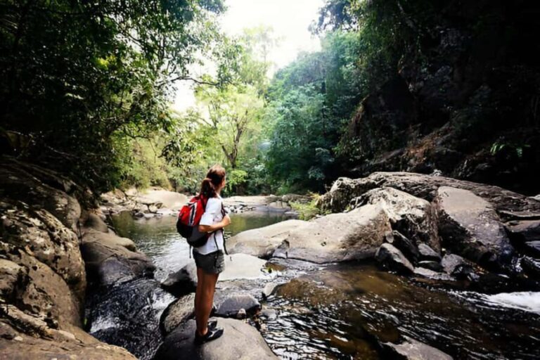 Agadir/Taghazout: Paradise Valley Atlas Mountains Trip - What Makes This Tour Special