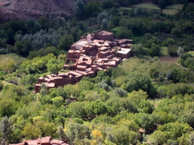 Agadir/Taghazout: Paradise Valley Half-Day Tour with Lunch - What to Expect at Paradise Valley