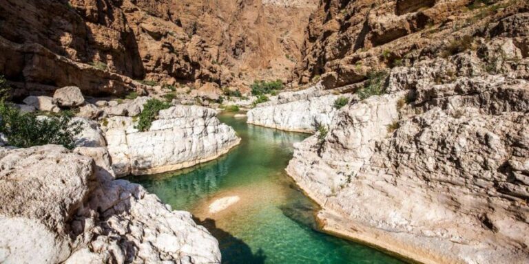 Agadir/Taghazout: Paradise Valley Tour to Atlas Mountains - Who Will Enjoy This Tour?