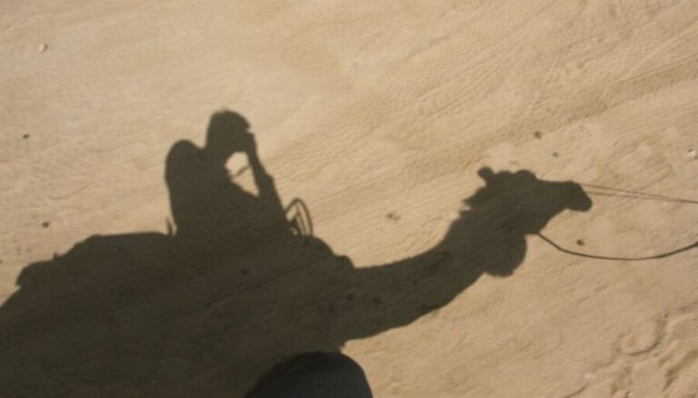 Agadir/Taghazout/Port: Camel Ride Tea & BBQ Option - A Closer Look at the Experience