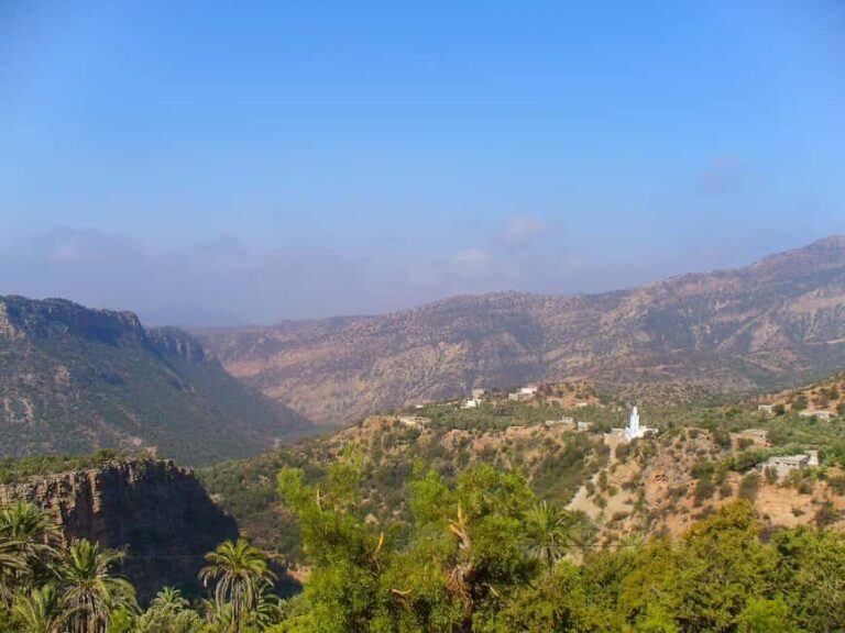 Agadir/Taghazout/Port: Paradise Valley Half-Day Tour & Lunch - The Realities of the Tour: Pros and Cons