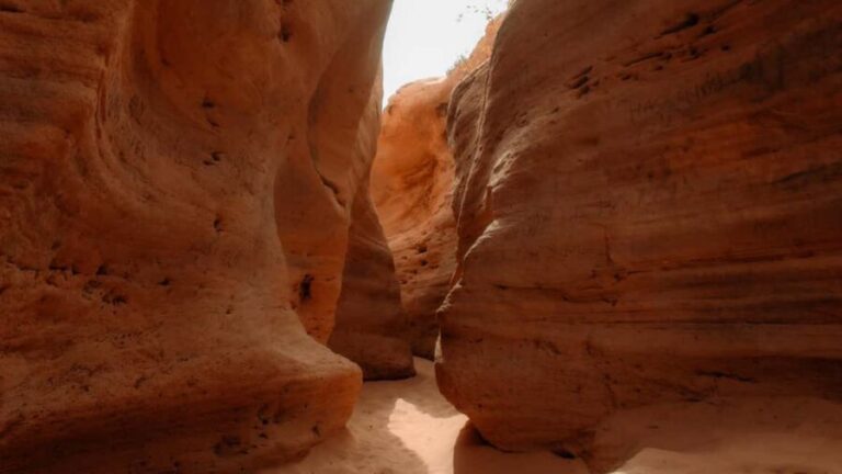 Agadir/Taghazout: Sandboarding & Sunset Tea with Fire Show - Who Will Enjoy This Tour?
