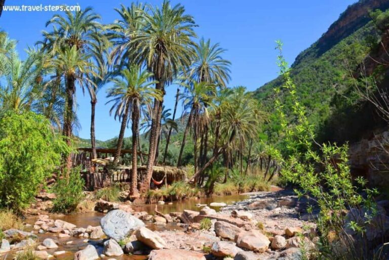 Agadir/Taghazout/Tamraght: Paradise Valley Best Tour - How the Day Unfolds