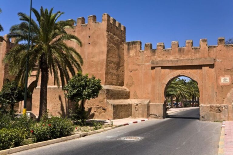 Agadir: Taroudant and Tiout Day Trip & Tajine - A Detailed Look at the Tour: What to Expect