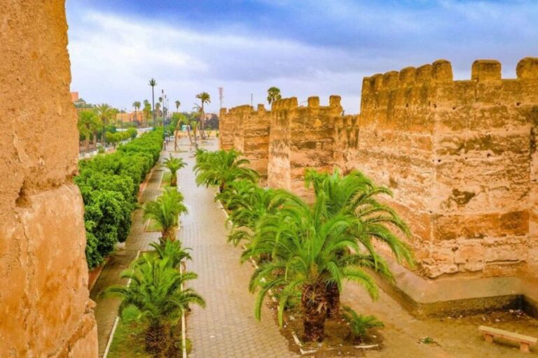 Agadir: Taroudant Oasis and Tiout Day Trip with Lunch Option - The Value of This Experience