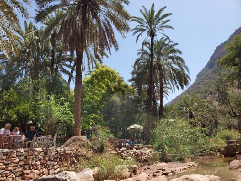 Agadir: Timlaline Desert & Paradise valley with camel ride - A Deep Dive into the Agadir: Timlaline Desert & Paradise Valley Tour