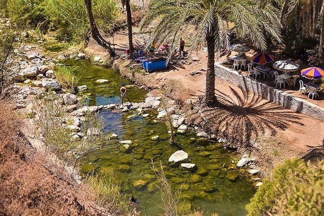 Agadir Trip To Paradise Valley - Visiting the Botanical Garden: Native Plants and Local Flavors