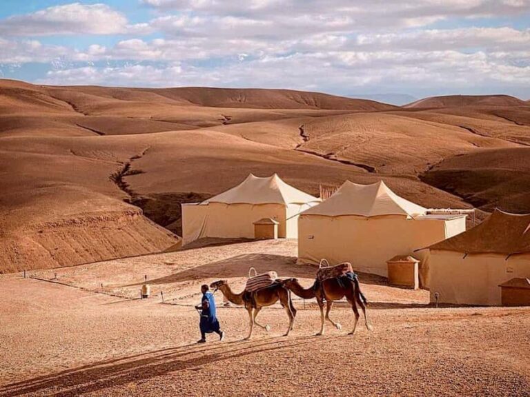 Agafay Desert Package, Quad Bike, Camel Ride and Dinner Show - The Value for Money