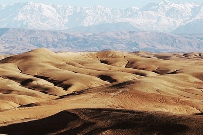 Agafay Desert Package, Quad Bike, Camel Ride and Dinner Show - Who Is This Tour Best For?
