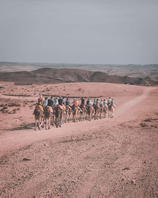 Agafay Desert: Quad & Sunset Camel Ride with Dinner Show - What to Expect: A Breakdown of the Day