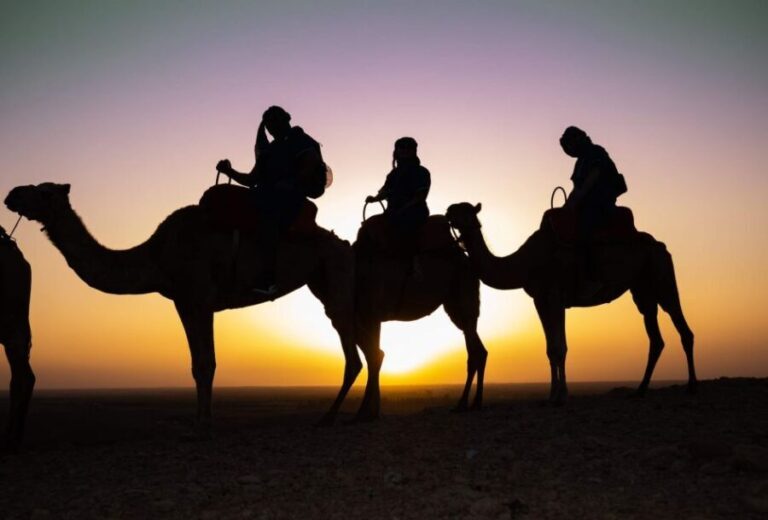 Agafay Desert Sunset Camel Ride - Is It Worth the Price?