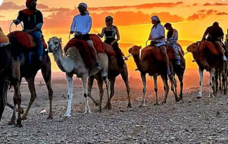 Agafay Desert: Sunset Camel Ride & Traditional Dinner - The Camel Ride: A Classic Moroccan Touch