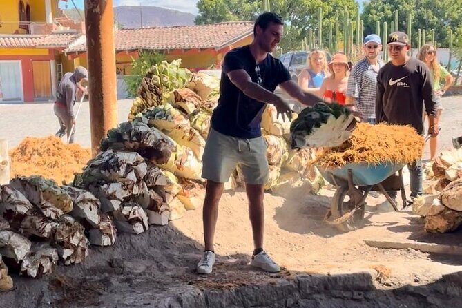 Agave Adventures Mexico - Who Should Take This Tour?