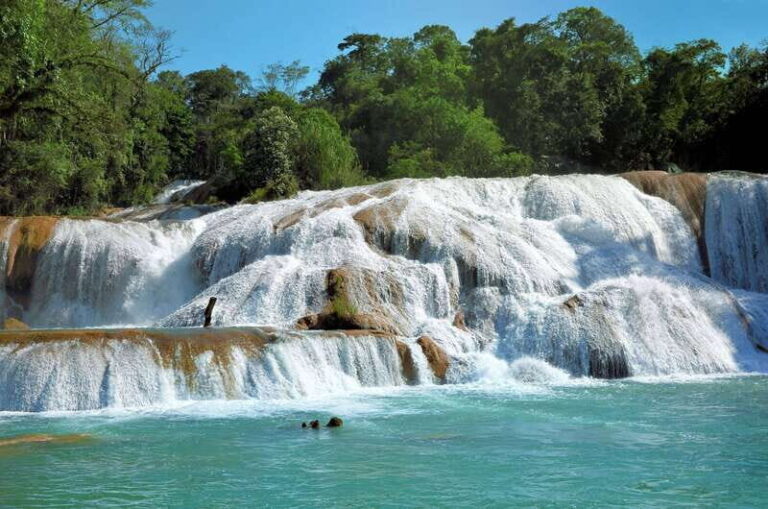 Agua Azul, Misol-Ha & Palenque Ruins from San Cristobal - Practical Considerations and Potential Drawbacks