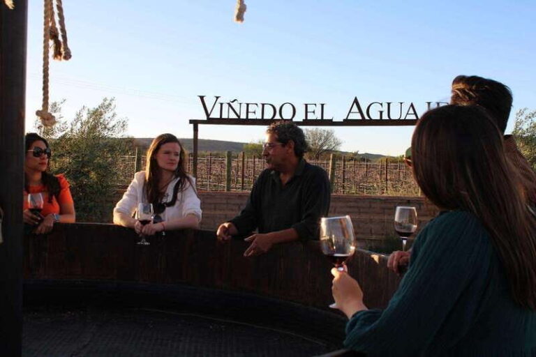 Aguascalientes: Enotourism Tour - Detailed Breakdown of the Itinerary