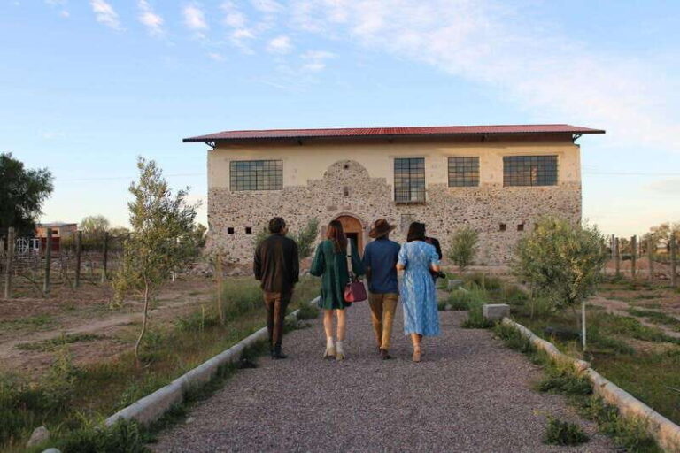 Aguascalientes: Magical Town and Winery Tour - Visiting the Vineyard: El Secreto