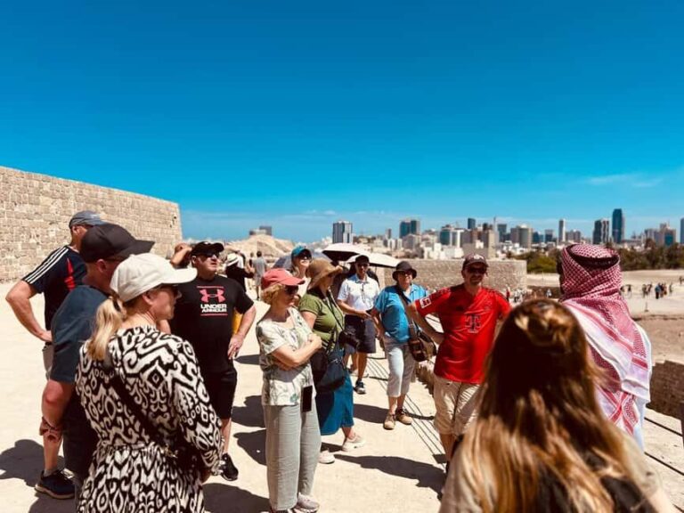 AIDAprima Bahrain Shore Excursion 20252026 English-Deutsch - Analyzing the Value