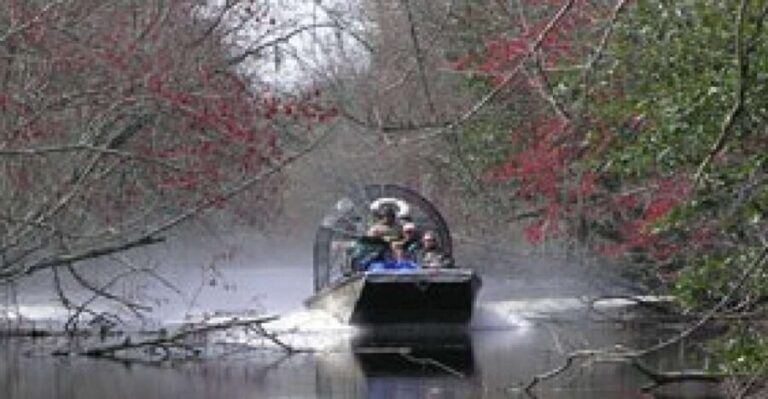 Airboat Tour of Louisiana Swamps - The Bottom Line: Is This Tour Worth It?