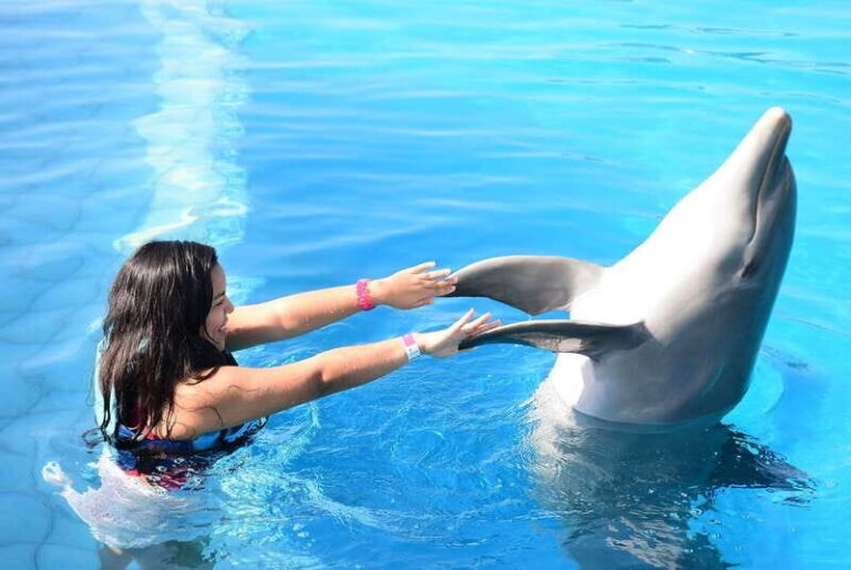 Akumal: Dolphin Encounter - The Setting: Akumal’s Beaches and Views
