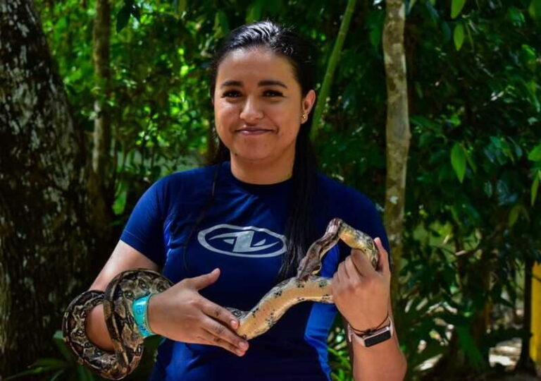 Akumal: Explore the Monkey Sanctuary, ATV Circuit and Cenote - Price, Value, and Practical Considerations