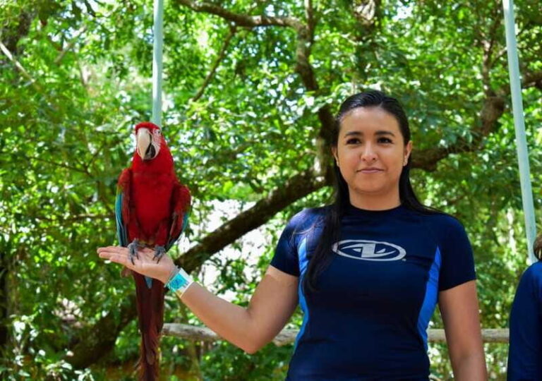 Akumal: Monkey Sanctuary, ATV, Cenote, & Yalku Snorkel Tour - What We Think About the Price and Value