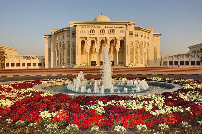 Al Ain City Tour from Dubai - Authentic Experiences and Insights from Travelers