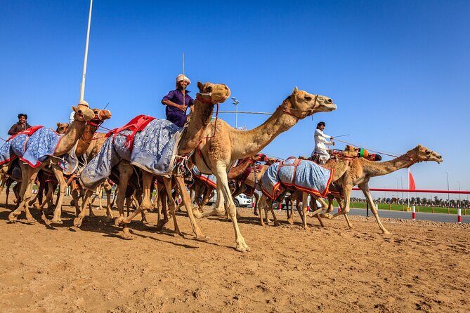 Al Ain Tour from Abu Dhabi - A Detailed Look at the Itinerary