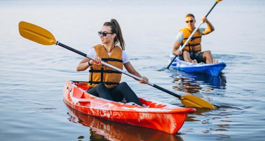 Al Khor: Mangrove Forest Kayaking Tour