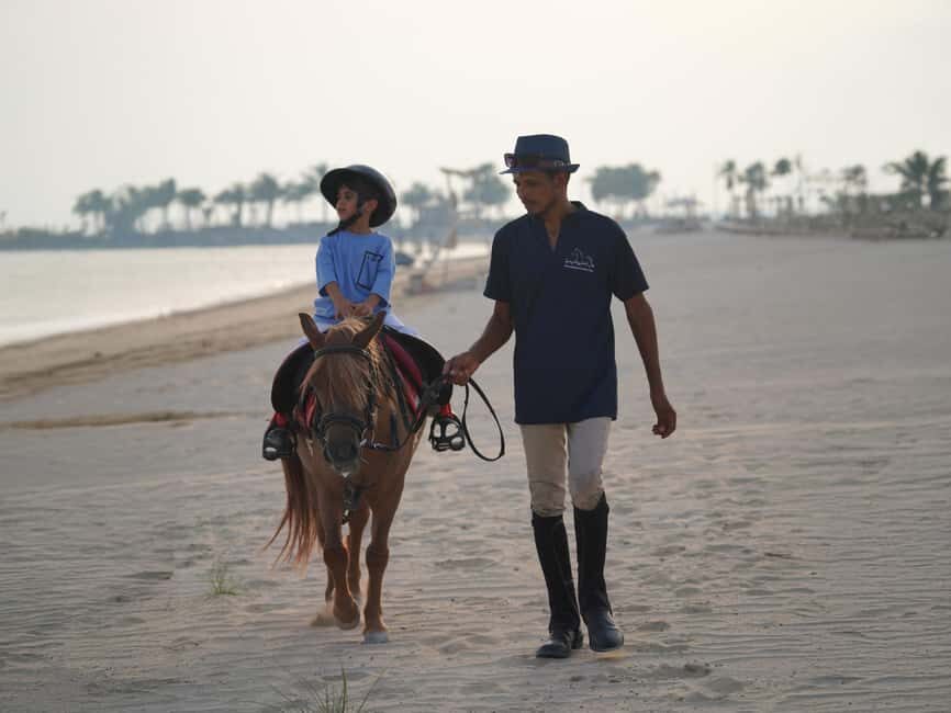 Al Mirfa: Forest Horseback Riding Adventure - Who Will Get the Most Out of This Tour?