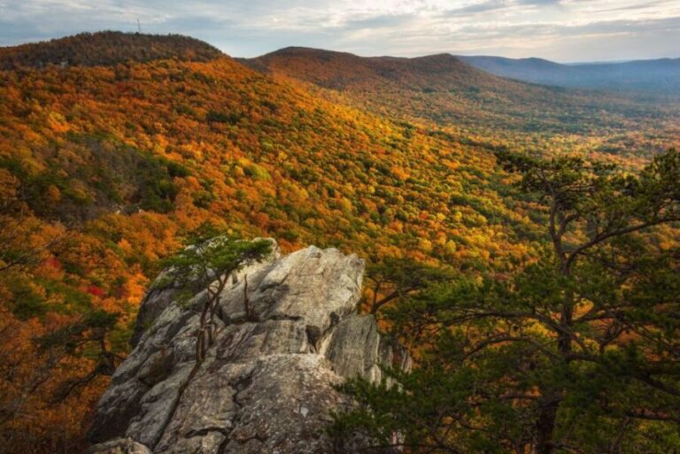 Alabama: 3-Day East Alabama Family Fun Multi-Attraction Pass - Value and Practicality