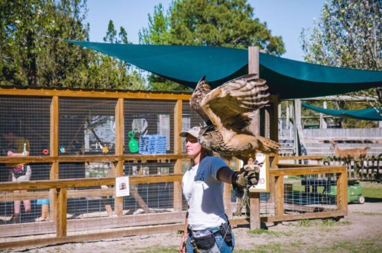 Alabama: Gulf Shores/Orange Beach Area Multi-Attraction Pass - The Experience: What to Expect
