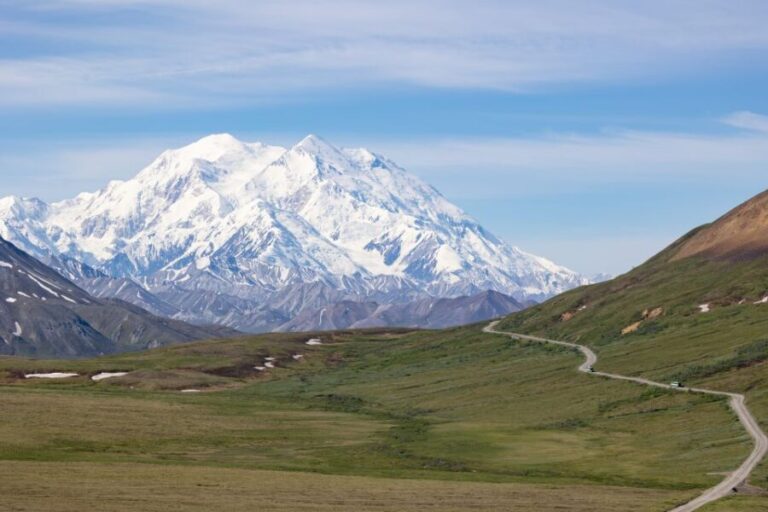 Alaska 9 Day Ocean Wildlife to Interior Wilderness Adventure - The Experience of Wildlife Viewing & Scenic Stops
