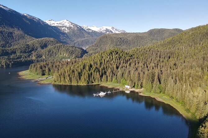 Alaska Bears and Silver Bay Homestead - Who Will Appreciate This Tour?