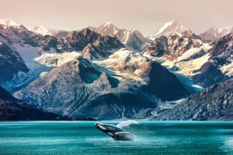 Alaska: Kenai Fjords & Denali National Park 5 Day Adventure - Authentic Experiences That Leave a Lasting Impression