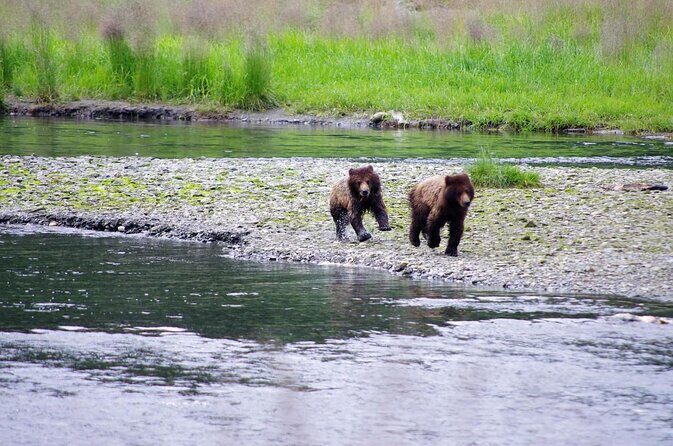 Alaska Ocean Wilderness Expedition - Who Will Love This Tour?