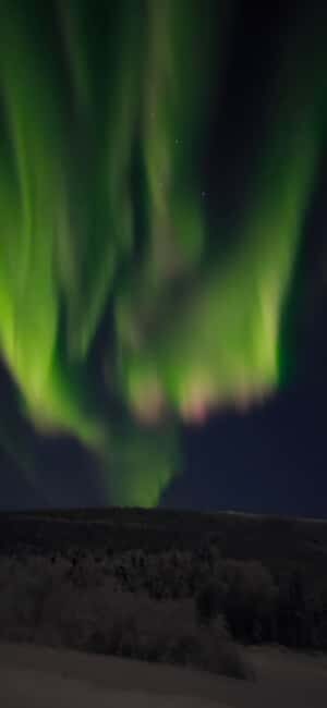 Alaska: Private Northern Lights Viewing Tour - What Makes This Tour Special?