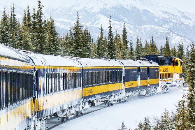 Alaska Railroad Aurora Winter Anchorage to Fairbanks One Way - The Practicalities: Planning Your Trip