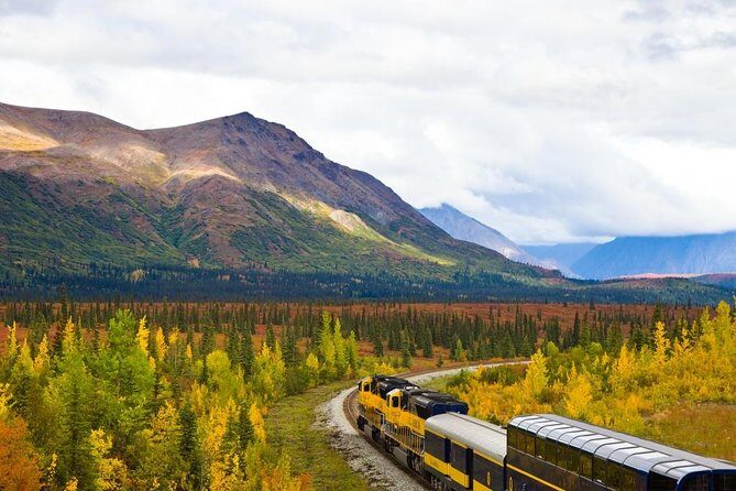 Alaska Railroad Denali to Anchorage One Way - Who Will Love This Experience?
