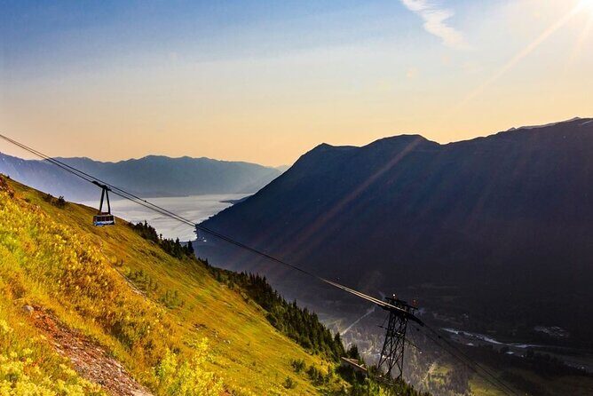 Alaska Wildlife Center and Turnagain Arm Tour w/Alyeska Tram - Analyzing the Experience