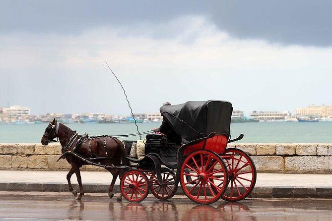 Alexandria Horse Carriage Tour - Who Should Consider This Tour?