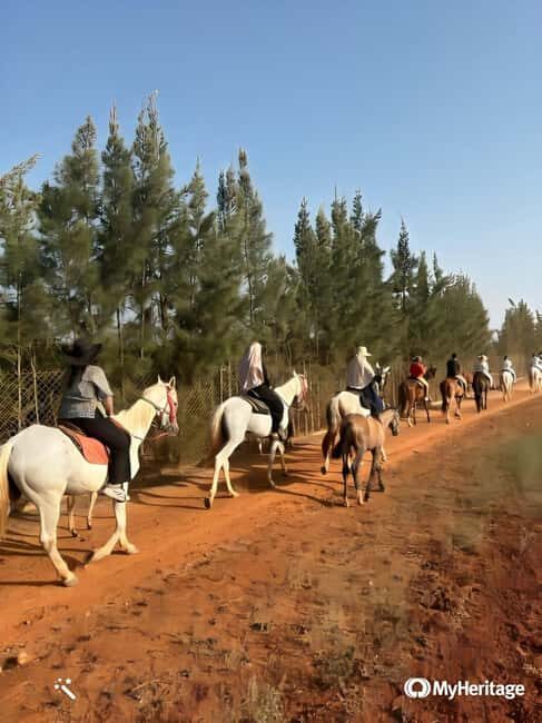 Algeria Daytour : Snorkeling & Horse Riding with lunch - Final Thoughts