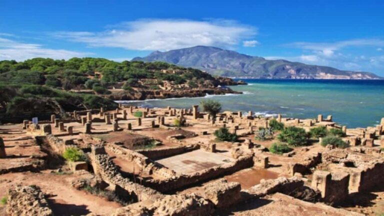 Algiers: Cherchell, Tipasa, & Royal Mausoleum Day Trip - Deep Dive into the Experience