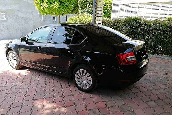Algiers Houari Boumediene Airport transfer to/from Algiers city - Detailed Breakdown of the Experience