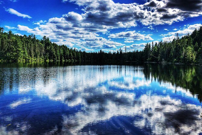 Algonquin Provincial Park Day Tour from Toronto - What the Itinerary Looks Like