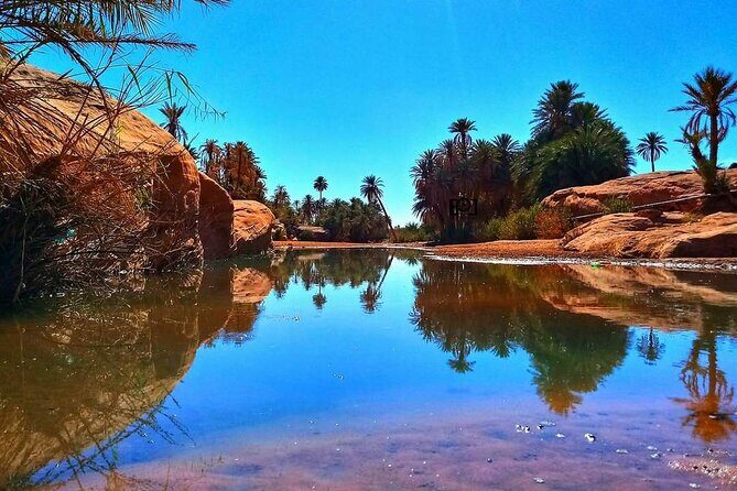 Ali Baba Oasis And The Old Medina Of Taroudant Private Day Tour - In Summary