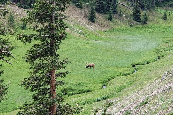 All Day Rocky Mountain National Park to Grand Lake Tour - Value and Pricing
