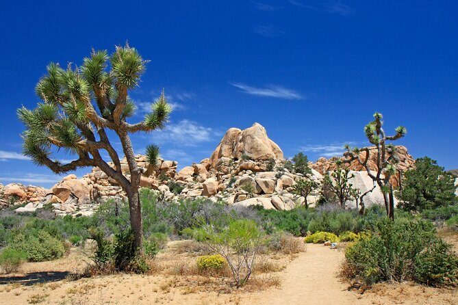 All-In-One California Self-Guided Driving & Walking Bundle Tour - What Travelers Say