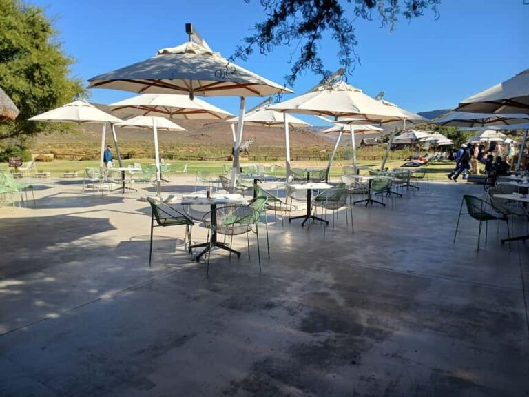 All inclusive 1 night Big Five Safari tour in from Cape Town - The Accommodation: Comfort in the Wilderness